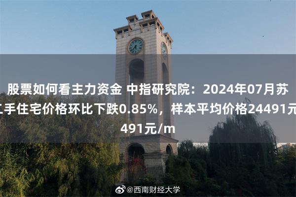 股票如何看主力资金 中指研究院：2024年07月苏州二手住宅价格环比下跌0.85%，样本平均价格24491元/m