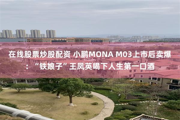 在线股票炒股配资 小鹏MONA M03上市后卖爆：“铁娘子”王凤英喝下人生第一口酒