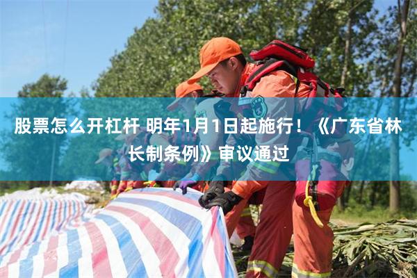 股票怎么开杠杆 明年1月1日起施行！《广东省林长制条例》审议通过