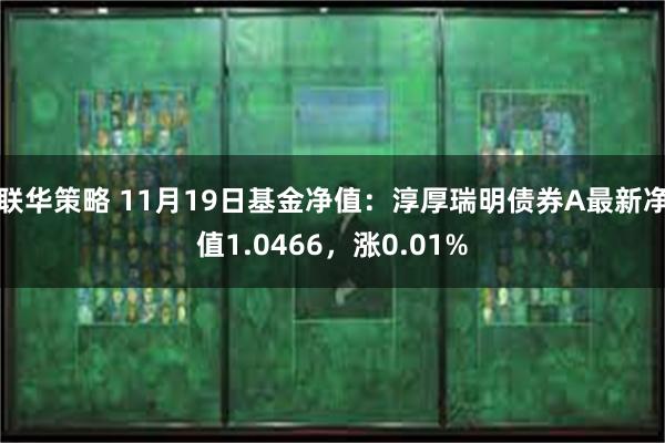 联华策略 11月19日基金净值：淳厚瑞明债券A最新净值1.0466，涨0.01%