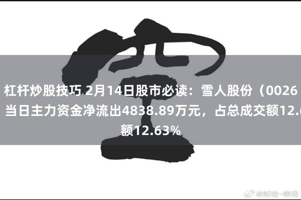 杠杆炒股技巧 2月14日股市必读：雪人股份（002639）当日主力资金净流出4838.89万元，占总成交额12.63%