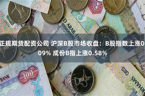 正规期货配资公司 沪深B股市场收盘：B股指数上涨0.09% 成份B指上涨0.58%