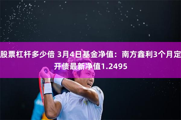 股票杠杆多少倍 3月4日基金净值：南方鑫利3个月定开债最新净值1.2495