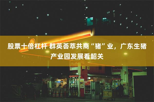 股票十倍杠杆 群英荟萃共商“猪”业，广东生猪产业园发展看韶关