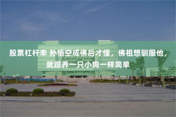 股票杠杆率 孙悟空成佛后才懂，佛祖想驯服他，就跟养一只小狗一样简单